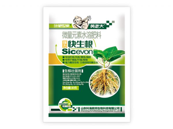 強(qiáng)力快生根.jpg