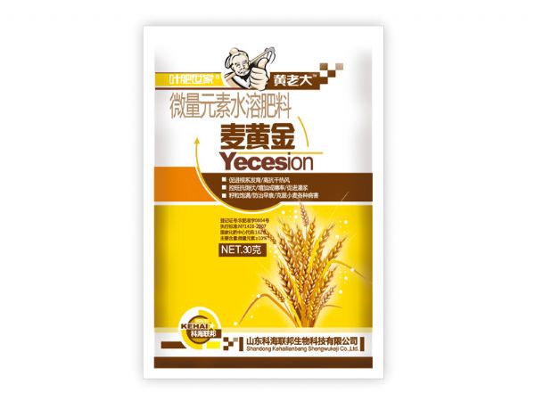 麥黃金.jpg