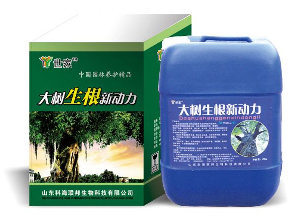 大樹生根新動力.jpg